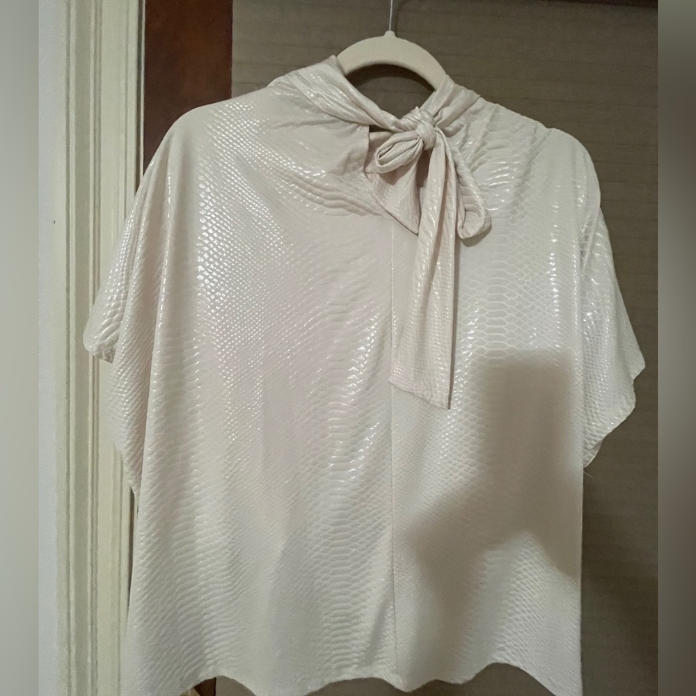 Trendy Boutique Shimmering Cream Blouse with Bow